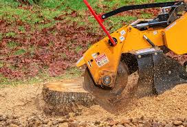 Professional Tree Services in Belford, NJ