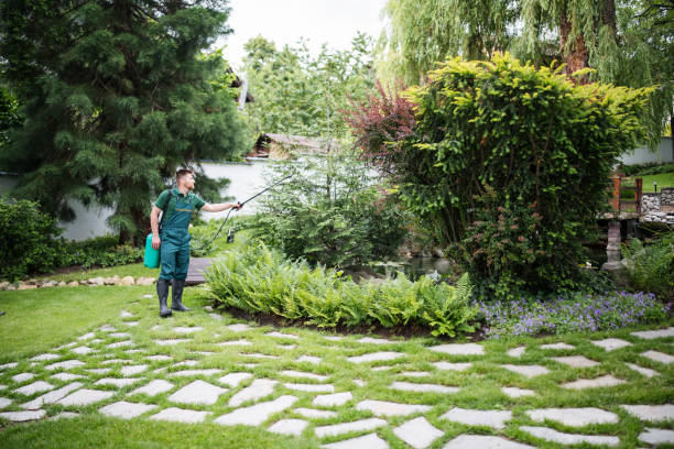 Lawn Pest Prevention in Belford, NJ